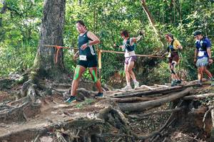 BIB: 
                            <button type="button" onclick="openModal(27556098)" class="btn btn-primary btn-sm float-right btn-popup" data-toggle="modal" data-target=".modal-high-quality">
                        <i class="fas fa-shopping-cart"></i> Add to Cart
                    </button>
                                            <button type="button" onclick="isThisMe(27556098, true)" class="btn btn-success btn-sm float-right btn-popup btn-isme hidden" data-toggle="tooltip" data-placement="bottom" title="นี่คือรูปของคุณใช่ไหม คลิกที่นี่เพื่อเอาเข้าอัลบั้ม">
                        <i class="fas fa-plus"></i> Add to album
                    </button>
                    <button type="button" onclick="isThisMe(27556098, false)" class="btn btn-warning btn-sm float-right btn-popup btn-isnotme hidden">
                        <i class="fas fa-ban"></i> Remove from album
                    </button>